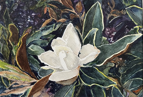 AM Magnolia