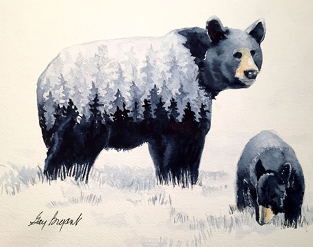 Bear--Woods In The Bear2
