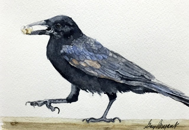 Crow Steppin' Out